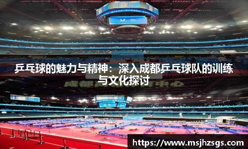 乒乓球的魅力与精神：深入成都乒乓球队的训练与文化探讨