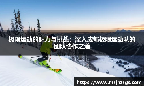 极限运动的魅力与挑战：深入成都极限运动队的团队协作之道