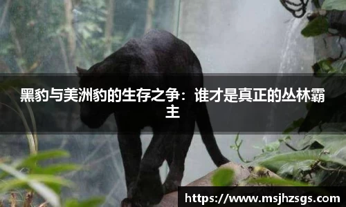 bbin娱乐场