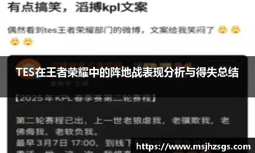 TES在王者荣耀中的阵地战表现分析与得失总结