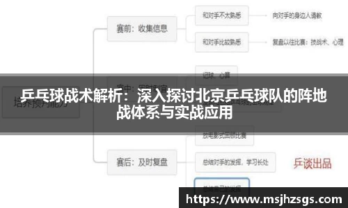 乒乓球战术解析：深入探讨北京乒乓球队的阵地战体系与实战应用