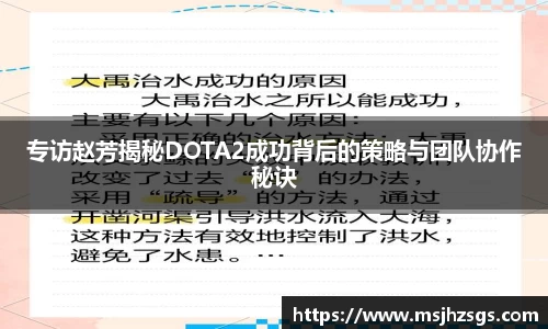 专访赵芳揭秘DOTA2成功背后的策略与团队协作秘诀