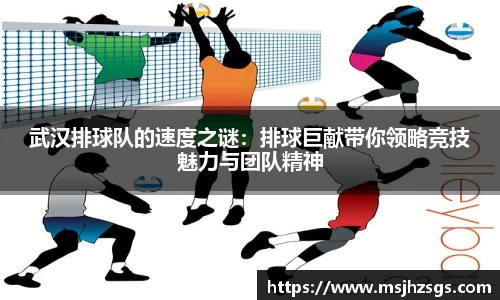 武汉排球队的速度之谜：排球巨献带你领略竞技魅力与团队精神